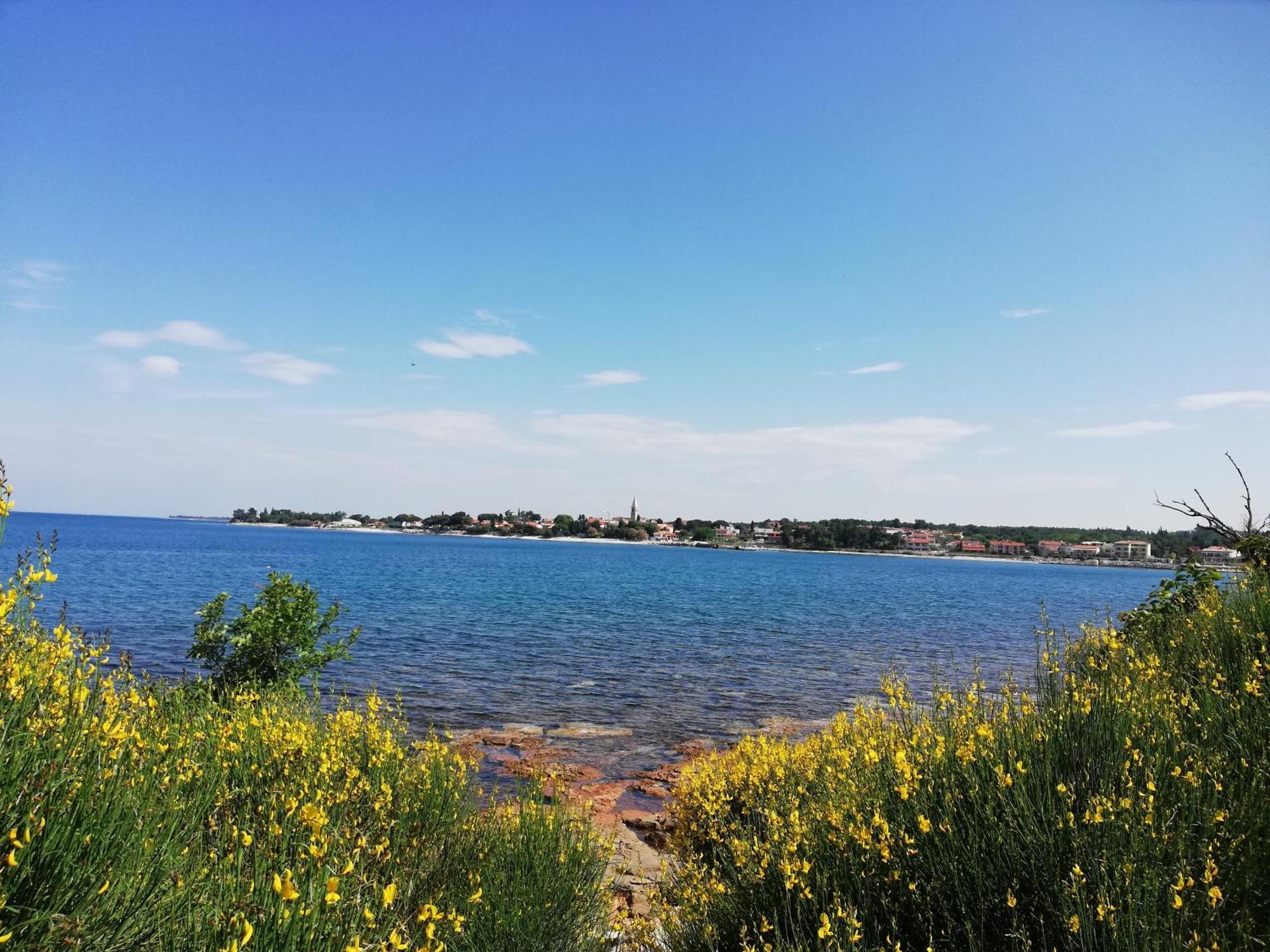 Apartments Oleander Lovrecica-Residence With Pool Екстер'єр фото